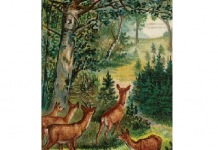 Teste de atenção plena: Precisa encontrar o caçador da foto