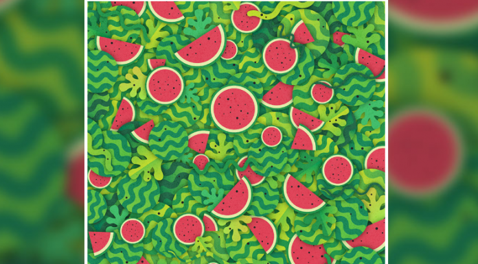 Há uma pequena cobra escondida entre essas melancias, mas você consegue ver?