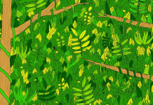 Encontre a cobra na selva nesta ilustração que provoca o cérebro –