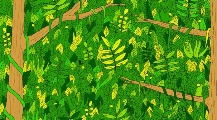 Encontre a cobra na selva nesta ilustração que provoca o cérebro –