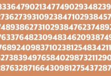 Ative o cronômetro em 10 segundos: encontre o número 342!