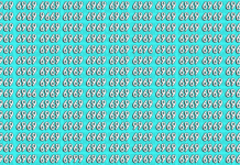 Treine sua atenção: Encontre cinco números na imagem diferentes de “6969” 🔍