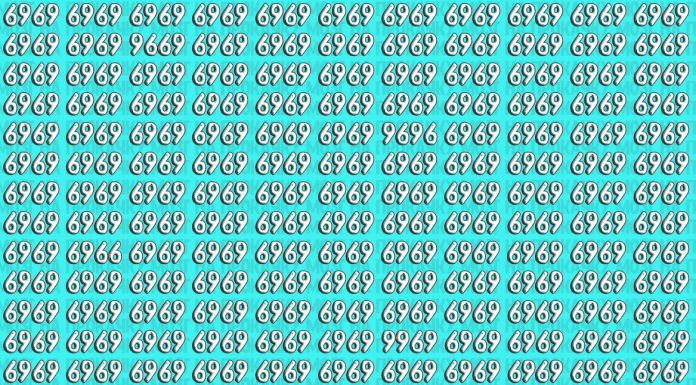 Treine sua atenção: Encontre cinco números na imagem diferentes de “6969” 🔍