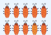 Teste de visão. Vamos ver se você é bom em separar cores. Encontre os diferentes!