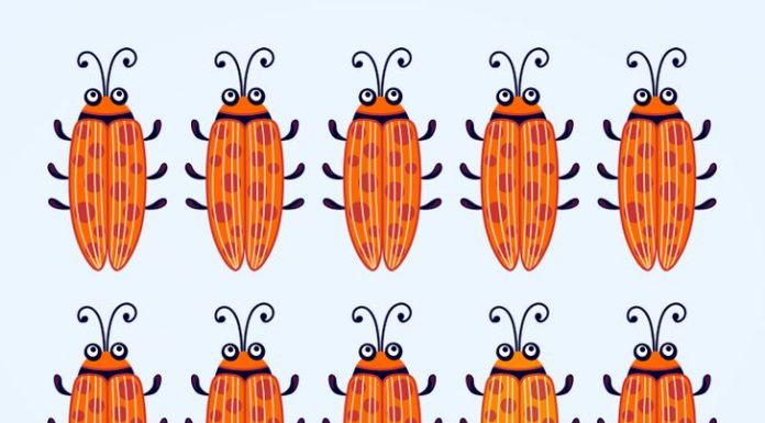 Teste de visão. Vamos ver se você é bom em separar cores. Encontre os diferentes!