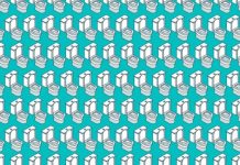 Desafio visual: Você consegue encontrar 3 Vasos com a tampa fechada?