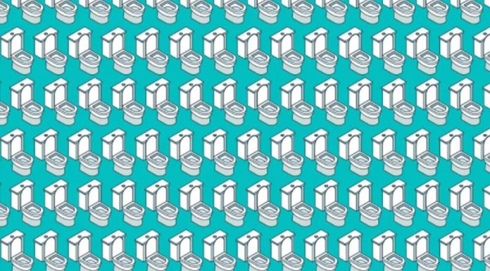 Desafio visual: Você consegue encontrar 3 Vasos com a tampa fechada?