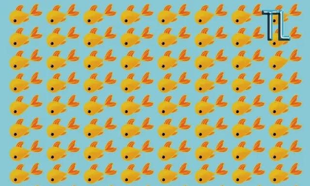 Desafio viral: encontre os 5 peixes diferentes dos demais e mostre como sua visão é boa