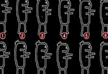 O quebra-cabeça que testa suas habilidades visuais: Onde está o impostor na imagem?