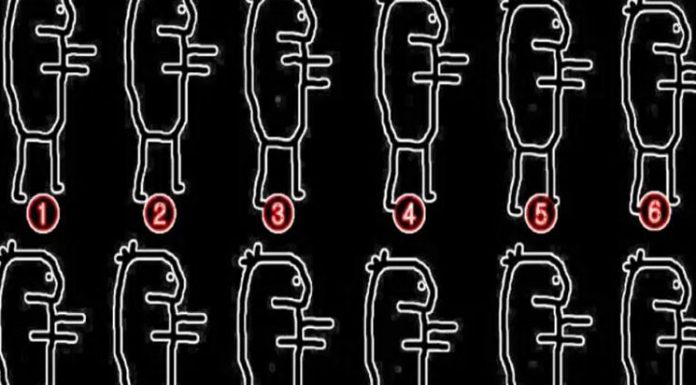 O quebra-cabeça que testa suas habilidades visuais: Onde está o impostor na imagem?