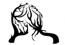 Desafie-se: 10 Ilusões de Ótica Divertidas.