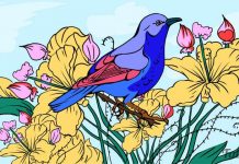 Quebra-cabeça visual: existem três objetos escondidos na imagem e você deve encontrá-los.