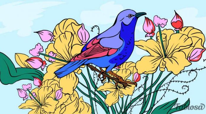 Quebra-cabeça visual: existem três objetos escondidos na imagem e você deve encontrá-los.