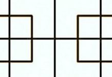 Resolva este desafio visual: quantos quadrados há nesta imagem?