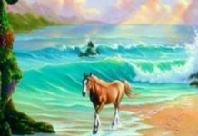 Você pode encontrar os cavalos escondidos neste desafio visual?