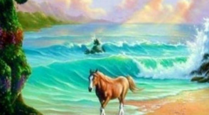 Você pode encontrar os cavalos escondidos neste desafio visual?