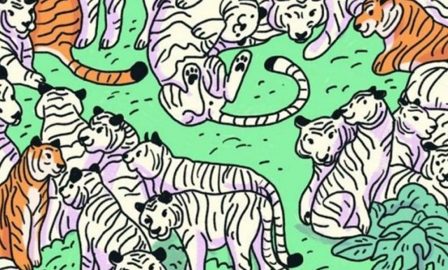 Desafio viral (modo difícil) | Você consegue encontrar a zebra escondida na imagem?