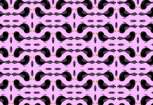 Existem três pássaros com uma perna, você pode nos ajudar a encontrá-los?