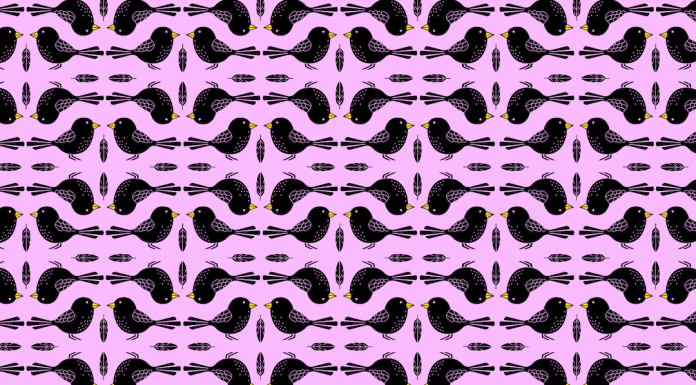 Existem três pássaros com uma perna, você pode nos ajudar a encontrá-los?