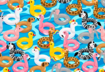 Se você puder resolver esses 3 testes de percepção em menos de um minuto, você é um gênio.