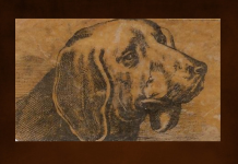 Exercício para treinar os neurônios: Onde está o dono deste cachorro?