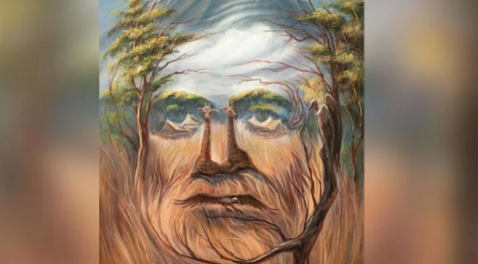 Diga-nos o que você vê: Este teste revela qual é o maior objetivo da sua vida.