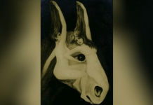 Teste psicológico: o que você viu primeiro na foto? A resposta revelará a essência do seu caráter.