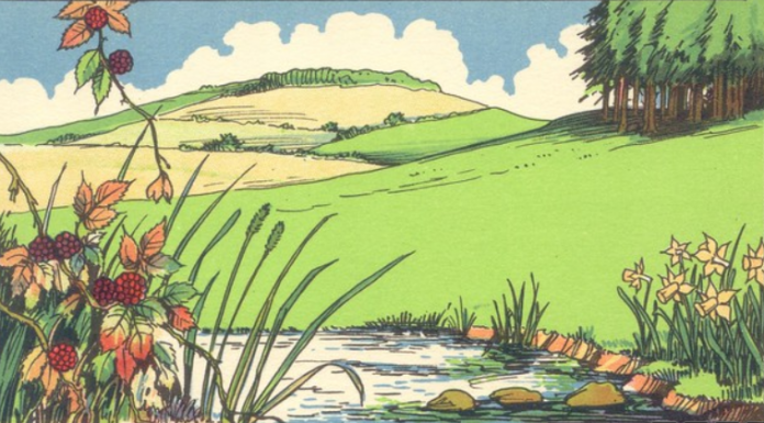 Hoje temos um novo desafio para quem diz ser um detetive astuto: Olhe a foto e descubra o que há de estranho nela.