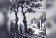 Desafio viral: você tem 30s para encontrar o homem escondido na imagem!