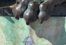 Quem pintou as ruas de Lyon: o vandalismo de rua mais fofo em francês