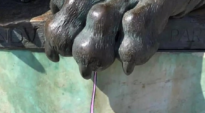 Quem pintou as ruas de Lyon: o vandalismo de rua mais fofo em francês