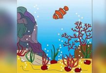 Desafio viral: encontre o cavalo-marinho, o polvo e o golfinho.