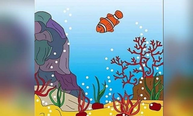 Desafio viral: encontre o cavalo-marinho, o polvo e o golfinho.