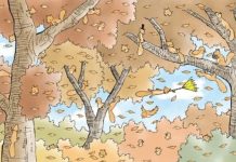 “Quantos esquilos há na imagem?” O novo desafio visual que poucos conseguem resolver.