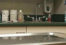 Acelere sua mente e visão e confira esta foto: Você consegue encontrar o gato?