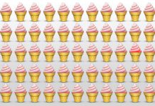 Desafio visual: Encontre o parceiro que é diferente dos outros neste desafio viral.