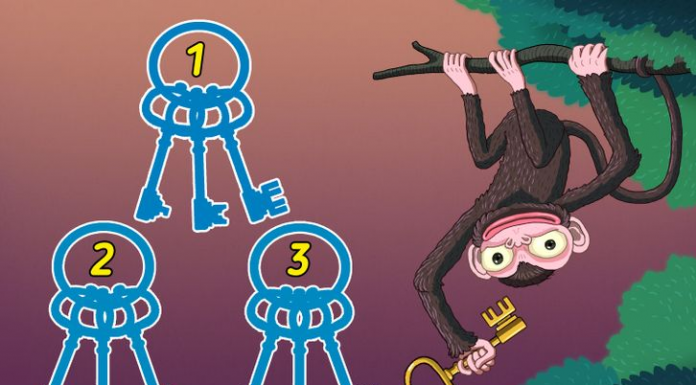 Teste: 10 quebra-cabeças que apenas o mais observador pode resolver. Qual chave abre o cadeado?