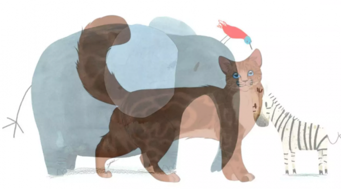 Teste: O primeiro animal percebido revela quem você é