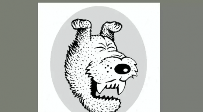 Teste psicológico: a primeira coisa que você vê dirá o quanto você ama em um relacionamento