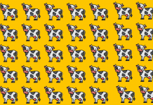 Desafio visual: Encontre uma vaquinha que seja diferente das outras.