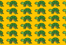 Uma única tartaruga difere das demais. Você tem 40s para encontrá-la! Você terá sucesso?