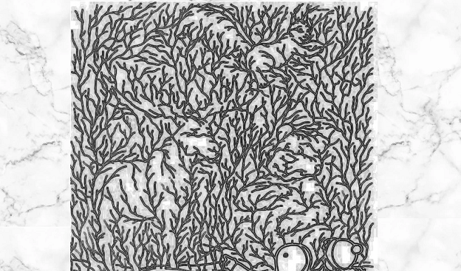 Quebra-cabeça ótico: Quantos animais escondidos você vê na imagem?