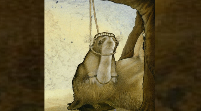 O desafio ‘Checkmate’ : Ache o cavalo nesta imagem ambígua!