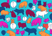 Em dezenas de porcos, você avistou outro animal? Em 10 s, você consegue encontrar?