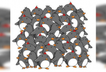 Seja um grande observador: Encontre um pinguim sem bico escondido entre outros!