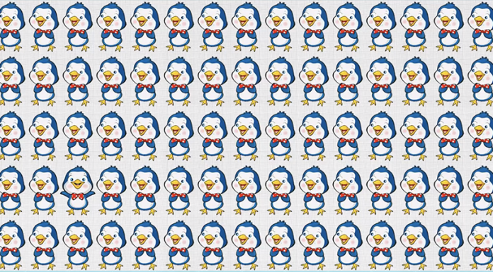 Em 10s, você consegue encontrar a diferença entre dezenas de pinguins idênticos?