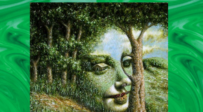 Teste: O que você vê na foto pela primeira vez vai te dizer toda a verdade   –