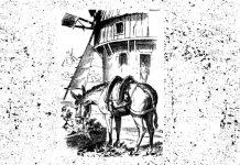 Teste da hora: Você consegue descobrir a “face escondida” nessa foto?