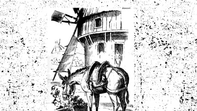 Teste da hora: Você consegue descobrir a “face escondida” nessa foto?