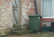 Teste de visão: apenas uma pequena porcentagem de pessoas consegue encontrar o gato na foto.